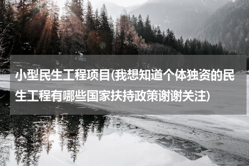 小型民生工程项目(我想知道个体独资的民生工程有哪些国家扶持政策谢谢关注)