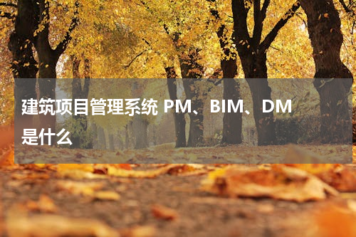 建筑项目管理系统 PM、BIM、DM 是什么