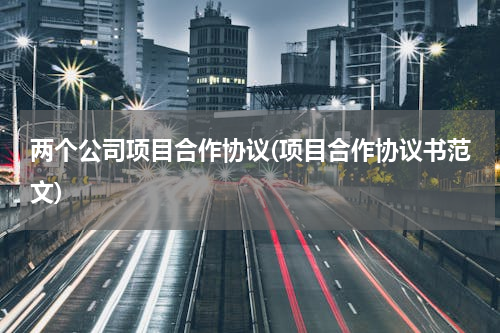 两个公司项目合作协议(项目合作协议书范文)