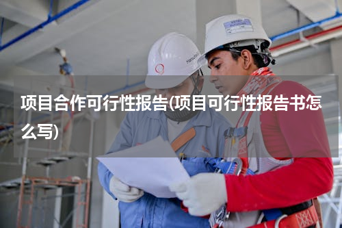 项目合作可行性报告(项目可行性报告书怎么写)