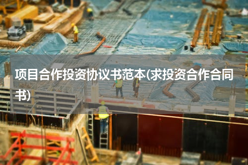 项目合作投资协议书范本(求投资合作合同书)