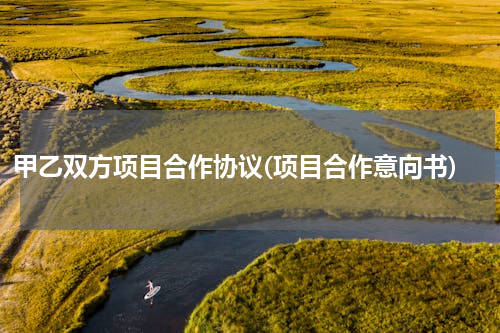 甲乙双方项目合作协议(项目合作意向书)