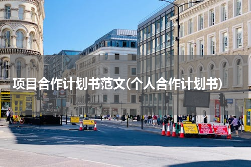 项目合作计划书范文(个人合作计划书)