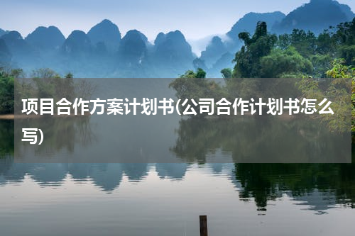 项目合作方案计划书(公司合作计划书怎么写)