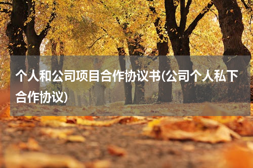 个人和公司项目合作协议书(公司个人私下合作协议)