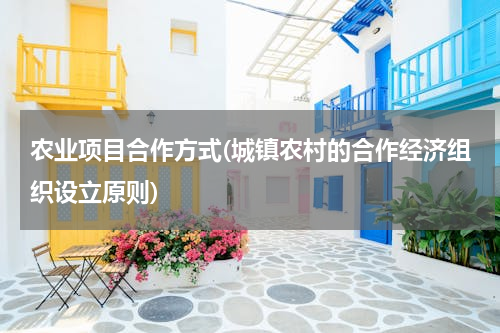 农业项目合作方式(城镇农村的合作经济组织设立原则)