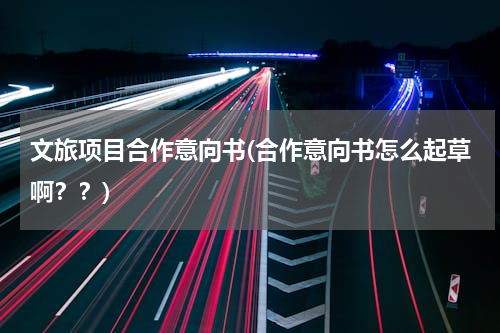 文旅项目合作意向书(合作意向书怎么起草啊？？)
