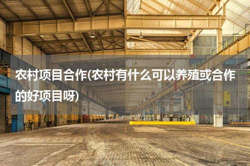 农村项目合作(农村有什么可以养殖或合作的好项目呀)