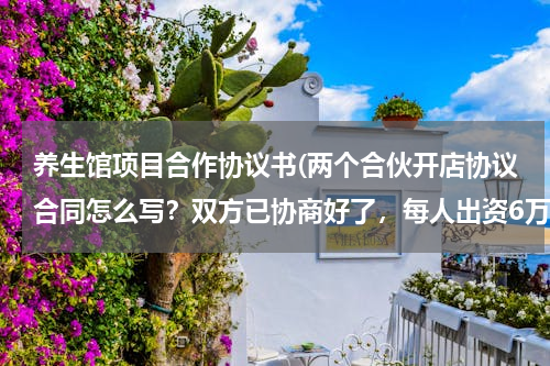 养生馆项目合作协议书(两个合伙开店协议合同怎么写？双方已协商好了，每人出资6万，但我技)