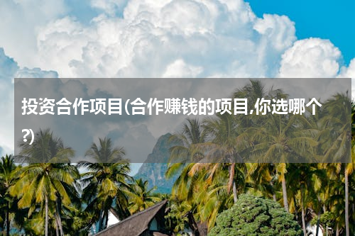 投资合作项目(合作赚钱的项目,你选哪个?)