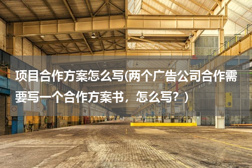 项目合作方案怎么写(两个广告公司合作需要写一个合作方案书，怎么写？)
