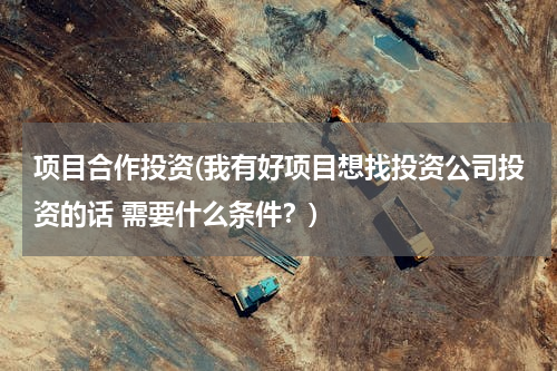 项目合作投资(我有好项目想找投资公司投资的话 需要什么条件？)
