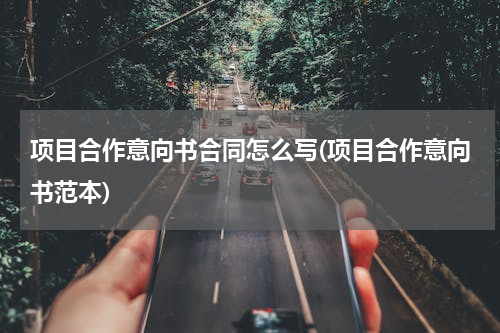项目合作意向书合同怎么写(项目合作意向书范本)