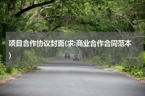 项目合作协议封面(求:商业合作合同范本)