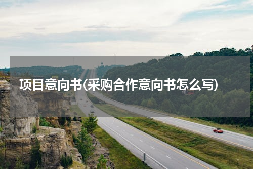 项目意向书(采购合作意向书怎么写)