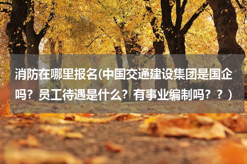 消防在哪里报名(中国交通建设集团是国企吗？员工待遇是什么？有事业编制吗？？)