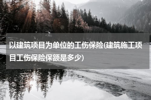 以建筑项目为单位的工伤保险(建筑施工项目工伤保险保额是多少)