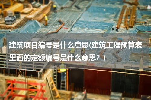建筑项目编号是什么意思(建筑工程预算表里面的定额编号是什么意思？)