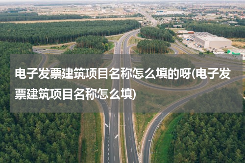 电子发票建筑项目名称怎么填的呀(电子发票建筑项目名称怎么填)