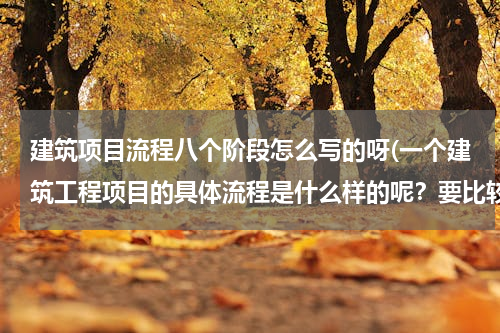 建筑项目流程八个阶段怎么写的呀(一个建筑工程项目的具体流程是什么样的呢？要比较详细的。)
