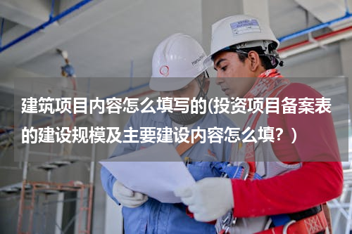 建筑项目内容怎么填写的(投资项目备案表的建设规模及主要建设内容怎么填？)