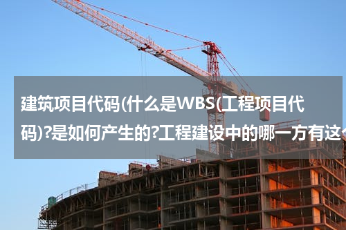 建筑项目代码(什么是WBS(工程项目代码)?是如何产生的?工程建设中的哪一方有这个代码?)