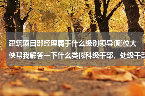 建筑项目部经理属于什么级别领导(哪位大侠帮我解答一下什么类似科级干部，处级干部的知识，怎么分的级。)