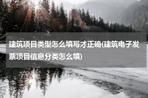 建筑项目类型怎么填写才正确(建筑电子发票项目信息分类怎么填)