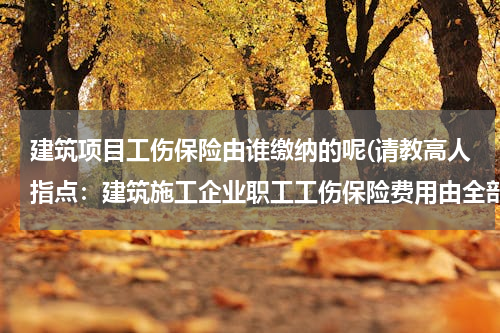 建筑项目工伤保险由谁缴纳的呢(请教高人指点：建筑施工企业职工工伤保险费用由全部企业承担还是企业和职工共同承担？)