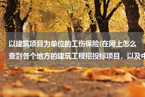 以建筑项目为单位的工伤保险(在网上怎么查到各个地方的建筑工程招投标项目，以及中标人的信息？)