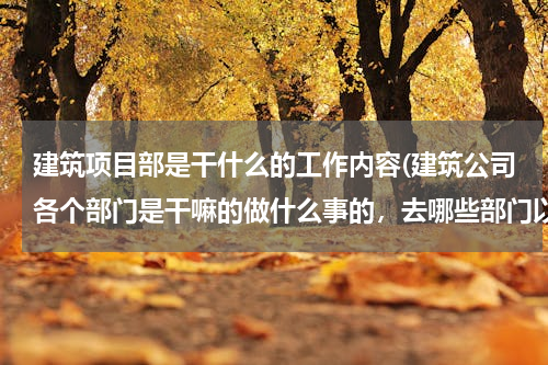 建筑项目部是干什么的工作内容(建筑公司各个部门是干嘛的做什么事的，去哪些部门以后待遇好，便于爬升、、、、、、)