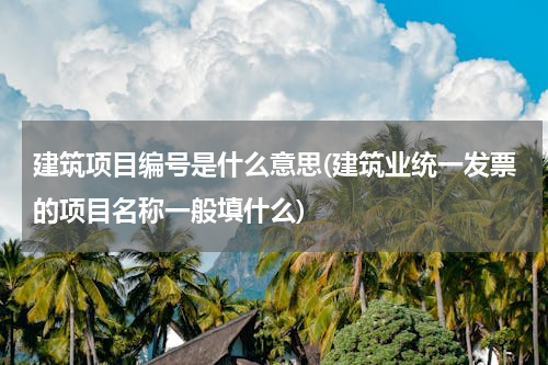 建筑项目编号是什么意思(建筑业统一发票的项目名称一般填什么)