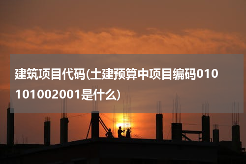 建筑项目代码(土建预算中项目编码010101002001是什么)