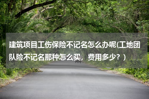 建筑项目工伤保险不记名怎么办呢(工地团队险不记名那种怎么买，费用多少？)